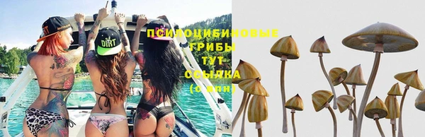 таблы Приозерск