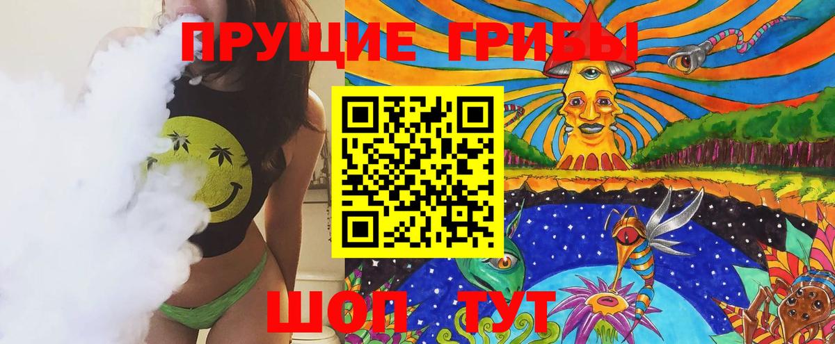 где продают наркотики  Великие Луки  Галлюциногенные грибы Psilocybe 