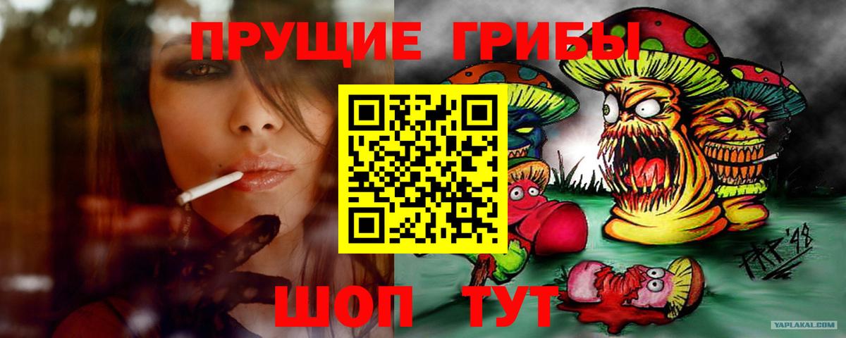 Псилоцибиновые грибы Psilocybine cubensis Великие Луки